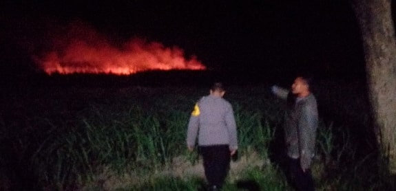 Diduga Akibat Puntung Rokok yang Dibuang Sembarangan, Lahan Tebu PG Pesantren Baru di Plosolor Terbakar