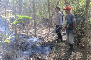 Diduga Karena Puntung Rokok, 2,5 Hektar Hutan di Ponorogo Hangus Terbakar, Ini Infonya