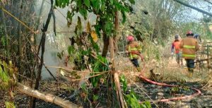 Kandang Milik Warga Kedungsari Tarokan Hampir Ludes Terbakar, Akibat Pemilik Teledor Saat Bakar Sampah