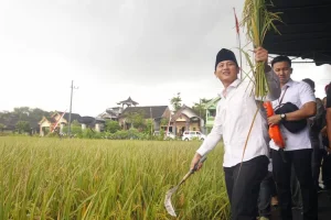 ASN di Trenggalek Tidak Bebas Beli Beras, Diminta Beli Beras dari  Petani Lokal, Ini Lo Infonya