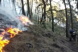 Jalur Pendakian Gunung Arjuno-Welirang Ditutup Total, Ini Sebabnya