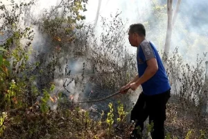 Satwa Liar Hutan Lindung di Ponorogo Terancam Setelah Ekosistem Tempat Hidup Mereka Terbakar 