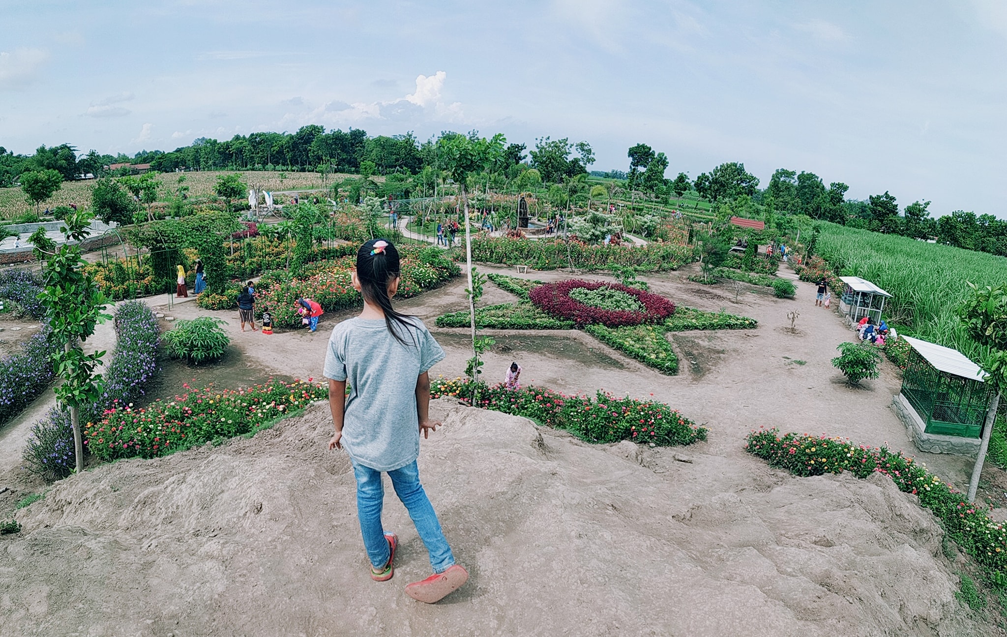 Destinasi Wisata Full Spot Foto Keren dan Natural Ternyata Ada di Ngronggot Nganjuk, Namanya Taman Bunga Cengkok
