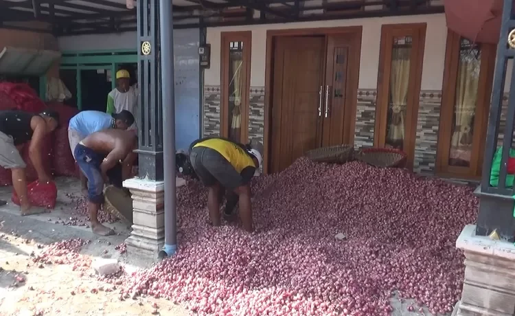 Harga bawang merah di Kabupaten Nganjuk anjlok, petani dan tengkulak mengeluh tidak dapat untung bahkah rugi. Sebab biaya tanam dan perawatan tidak sebanding dengan hasil penjualan