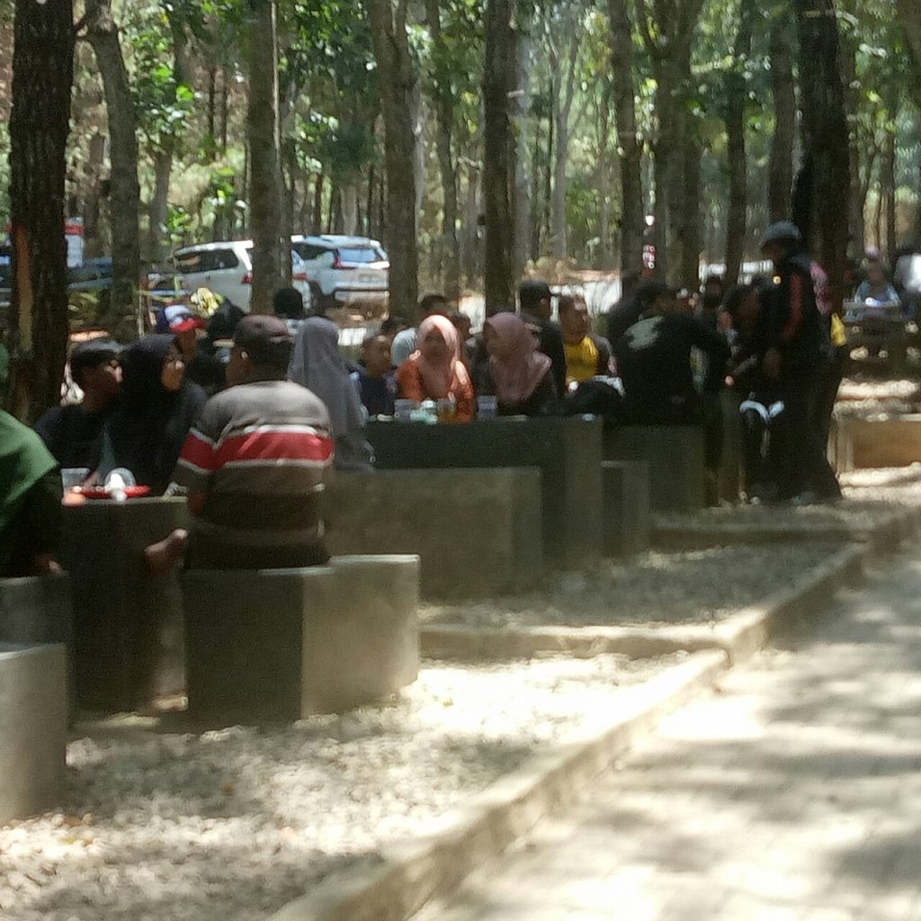 Kedai Kopi 66, Wisata Kuliner Romantis di Tengah Hutan Pinus Kediri, Ajak Pasangan Anda