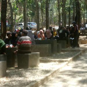 Kedai Kopi 66, Wisata Kuliner Romantis di Tengah Hutan Pinus Kediri, Ajak Pasangan Anda