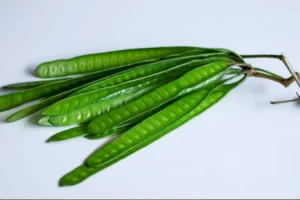 Lamtoro atau Petai China, Ternyata Punya Banyak Manfaat, Salah Satunya Menyembuhkan Diabetes