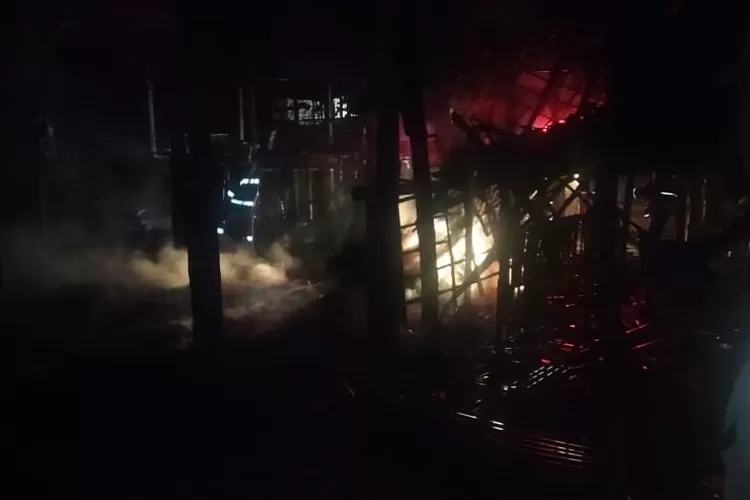 Kandang Ayam di Kediri Terbakar, 2000 Anak Ayam Terpanggang