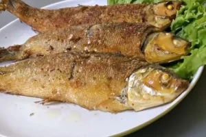 Resep Bandeng Presto ala Chef Rudy Choirudin, Enak dan Lembut, Silahkan Dicoba
