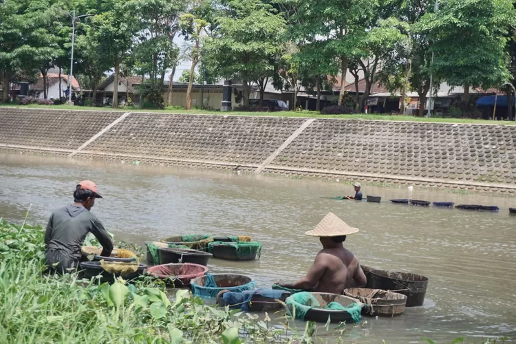 Air Sungai di Kabupaten Tulungagung Tercemar Bakteri E. Coli, Berbahaya Apabila Dikonsumsi