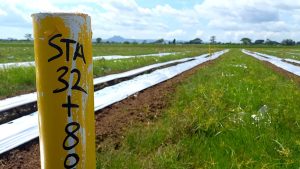 Sebanyak 50 Bidang Tanah di Desa Sembon Tulungagung Terdampak Tol Kediri-Tulungagung, 25 Persen Terkendala Hak Waris
