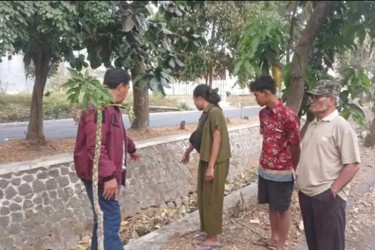 Jenazah Bayi Dibungkus Kresek Merah Gemparkan Warga Blimbing Malang, Begini Ceritanya