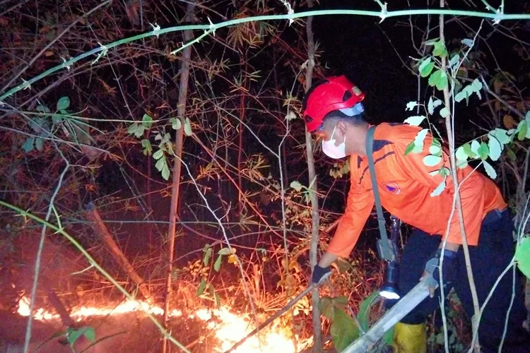 Kebakaran Hutan Tercatat Terjadi 9 Kali di Trenggalek Selama Sebulan, Warga Diminta Waspadai Puncak Kemarau