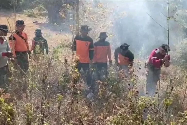 BPBD Kabupaten Kediri Patroli Karhutla di Gunung Kelud dan Wilis, Antisipasi Karhutla