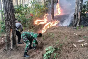 Sekitar 1,5 Hektar Lahan di Gunung Putan Trenggalek Terbakar