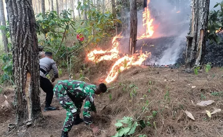 Kebakaran Hutan dan Lahan (Karhutla) melanda kawasan Gunung Putan dI Desa/Kecamatan Pule Kabupaten Trenggalek