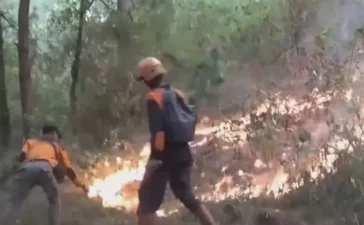 Kebakaran Gunung Lawu Meluas, Ngawi Status Tanggap Darurat