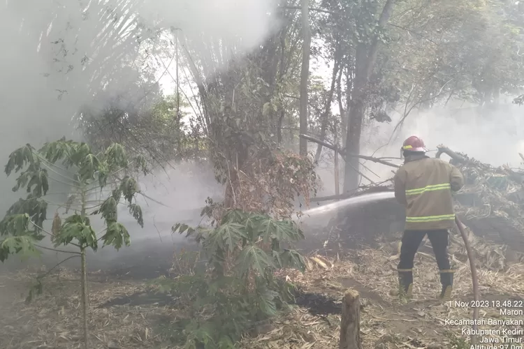 Barongan Bambu di Maron Kecamatan Banyakan Terbakar, Bagini Kepanikan Warga