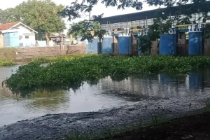 Pintu Air Dam Baduk Tanjung Anom Nganjuk Dibuka, Hamparan Eceng Gondok Kini Musnah