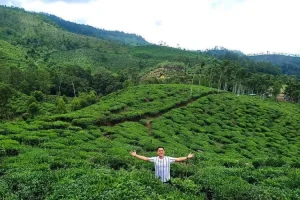Ada 4 Tempat Wisata Alam di Ngawi yang Cocok Dikunjungi, Salah satunya  Kebun Teh Jamus