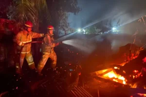 Geger, Kandang Sapi Milik Warga Sambirejo Trenggalek Terbakar