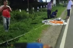 Warga Desa Balerejo Madiun Pasang APK Sampai Meninggal Dunia, Ini Penyebabnya