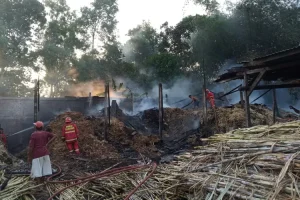 Pabrik Gula (PG) Sumbergempol, Tulungagung Terbakar, Ini Infonya