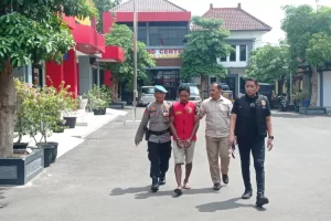 Sempat Sembunyi di Sawah, Pelaku Pembunuhan di Pulung Ponorogo Menyerahkan Diri ke Polisi