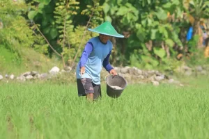 Imbas Tol, Lahan Produktif di Kota Kediri Berkurang, Ini Infonya