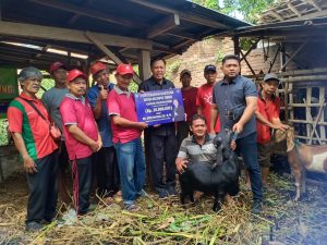 Ada Potensi Ternak Kambing di Desa Semen Kecamatan Semen Kabupaten Kediri, Ini Kata Kades Semen