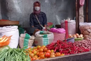 Musim Hujan, Harga Tomat Tembus Rp 10.000 per Kilogram, Ini Infonya
