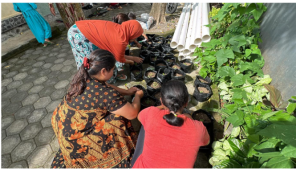 Serunya Menanam Seledri Bersama Warga Kluncing, Dalam Program AYO TANAM Untuk Pencegahan Hipertensi