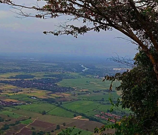 Tersesat di Gunung Klotok Kediri, Pemuda Ini Ditemukan Tidak Sadarkan Diri 