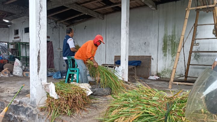 Kegiatan Ubinan di Kelurahan Tosaren Kecamatan Pesantren Menghasilkan Beras Sehat Berkualitas, Ini Komentar Ketua Kelompok Tani Makmur