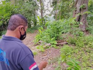 Kades dan Perangkat Desa di Kabupaten Kediri Tebang Pohon di Sumber Mata Air, Aktivis LIngkungan Hidup Mengecam dan Protes 