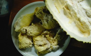 Ada 7 Bahaya Konsumsi Buah Durian Terlalu Banyak, Rasanya Lumer Tapi Bisa Memicu Alergi