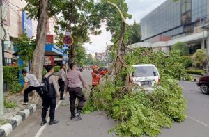 Angin Kencang Sapu Kota  Kediri, Pohon Tumbang Terjadi di 4 Lokasi, Ini Infonya