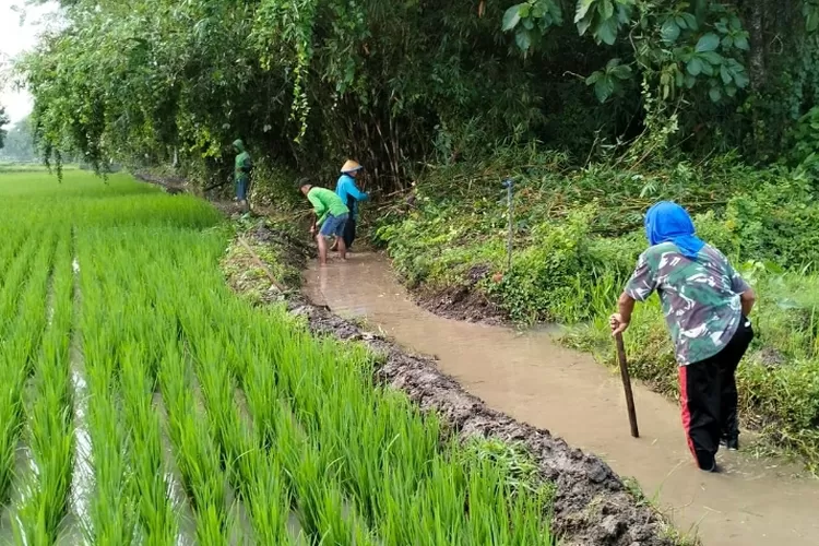 Dispertabun Kabupaten Kediri Petakan Wilayah Persawahan Rawan Terdampak Bencana Banjir dan Longsor