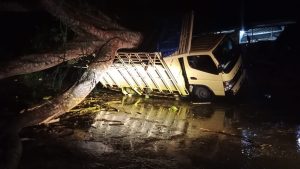 Ditinggal Ngopi Sopir, Truk Tertimpa Pohon Tumbang di Lingkungan Cakarsi, Kelurahan Tosaren, Segini Kerugiannya