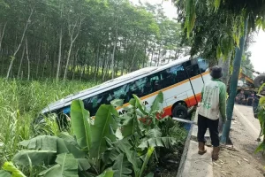 Tabrakan dengan Kijang Innova, Bus Harapan Jaya Terperosok ke Sawah di Samping Jembatan Semampir, Ini Informasinya