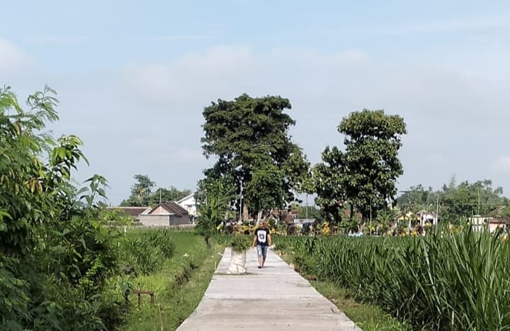 Pemerintah Desa Jambangam, Kecamatan Papar Perbaiki Jalan Pakai Dana BKK, Warga Senang, Akses ke Sawah dan ke Makam Lancar