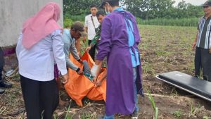 Pergi ke Sawah dan Tidak Pulang Sampai Siang, Sugito, Warga Tosaren Kecamatan Pesantren Ditemukan Meninggal Dunia 