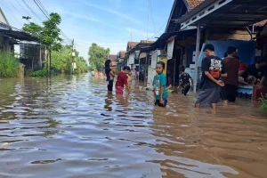 Rumah Warga Jombang Terendam Banjir Setinggi 1,5 Meter Akibat Hujan Semalaman