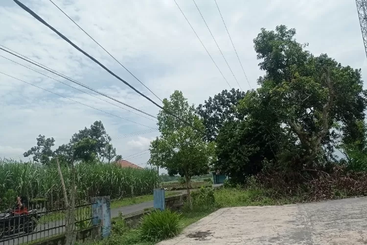 Kabel Listrik menjuntai di Depan Rumah resahkan Warga