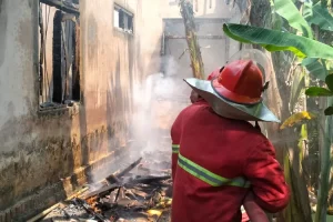 Kebakaran Menimpa Rumah Milik Lansia Ponorogo, Kerugian Rp 250 Juta, Ini Sebabnya