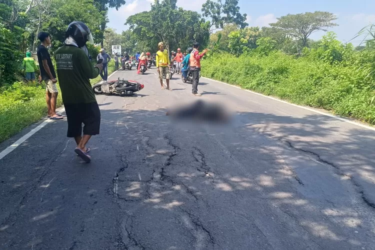 Jalan Berlubang di Lamongan Kembali Memakan Korban Jiwa, Pemotor Tewas Terlindas Pick Up