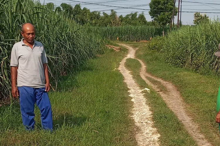 Komplotan Maling Ternak Beraksi di Kembangbahu Lamongan, Polisi Masih Selidiki
