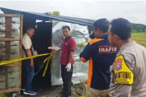 Warga Desa Mancon, Wilangan, Nganjuk Geger, Petani Warga Setempat Tewas Mendadak di Gubuk Sawah