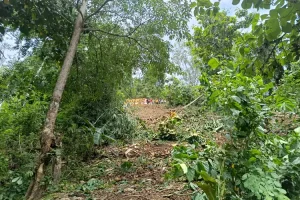 Rem Blong, Truk Pengangkut Keramik Masuk Jurang di Trenggalek, Begini Kronologinya