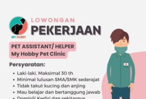 3 Info Lowongan Kerja Kediri untuk Lulusan SMA Hingga Sarjana, Lihat Persyaratannya Disini!